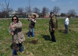 Actions “Clean Environment” and “Plant a Tree”